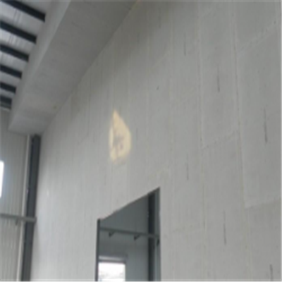蓬溪新型建筑材料掺多种工业废渣的ALC|ACC|FPS模块板材轻质隔墙板